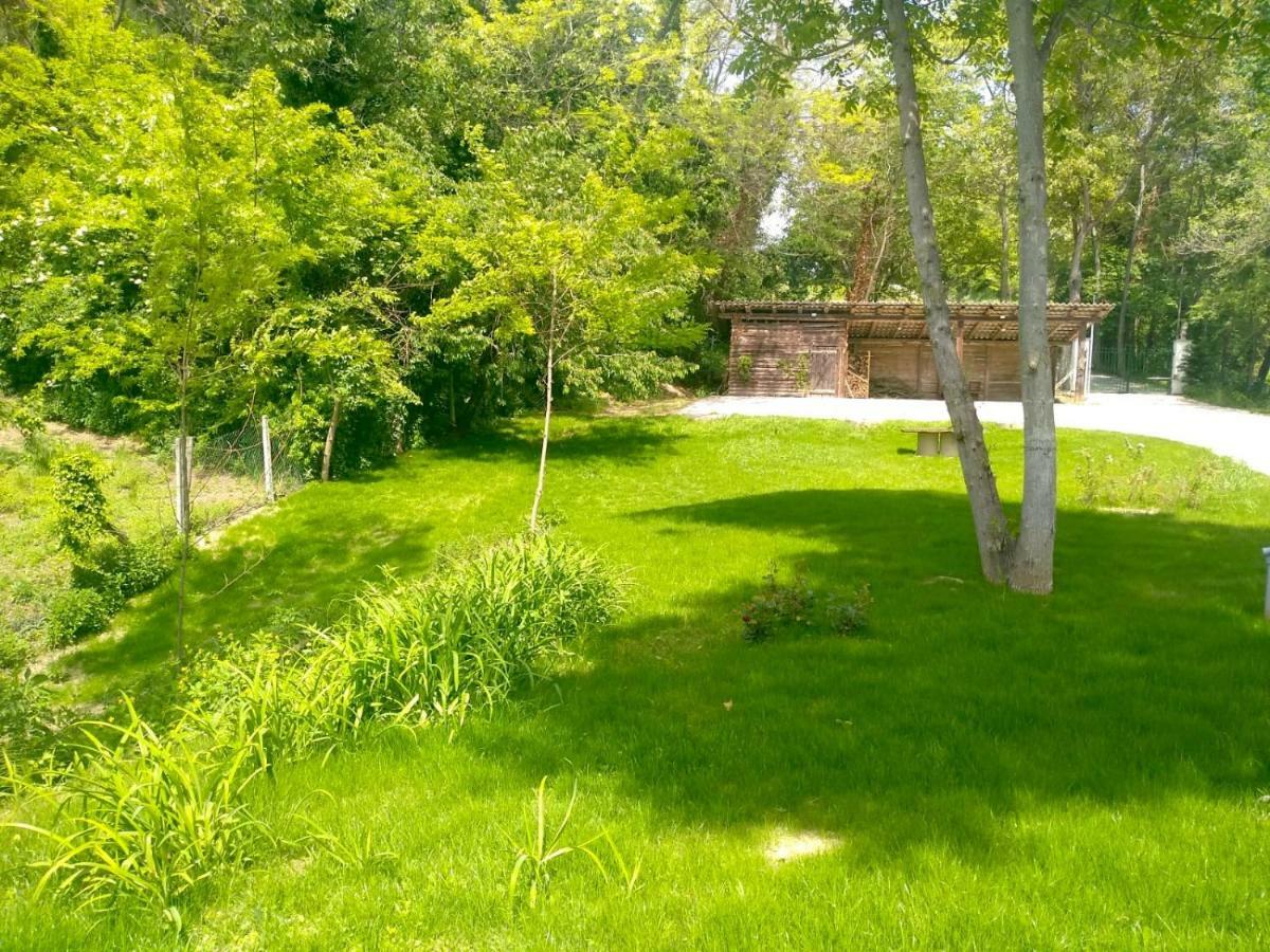 America Nei Boschi B&B Bra Exterior photo